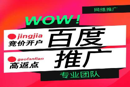 某企业通过SEO和SEM双管齐下实现业绩飞跃的案例